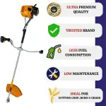 Royal Kissan - Backpack Brush Cutter Premium with Attachments (43 cc) 2 Stroke